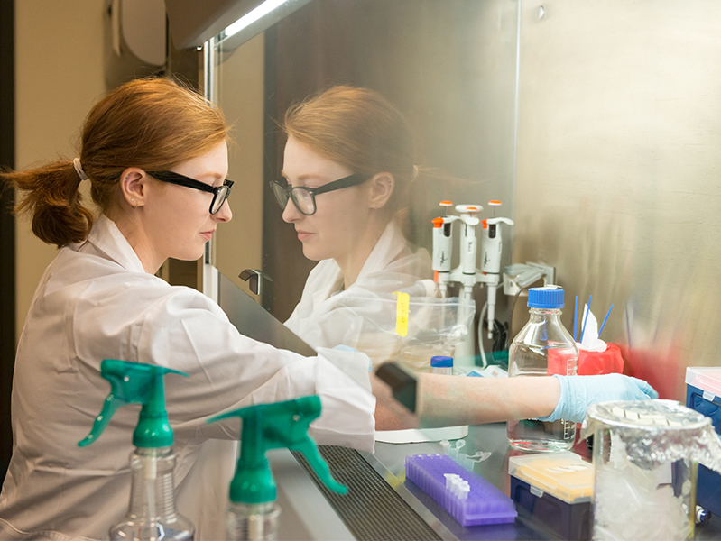 Female student in a lab using a chemical hood.