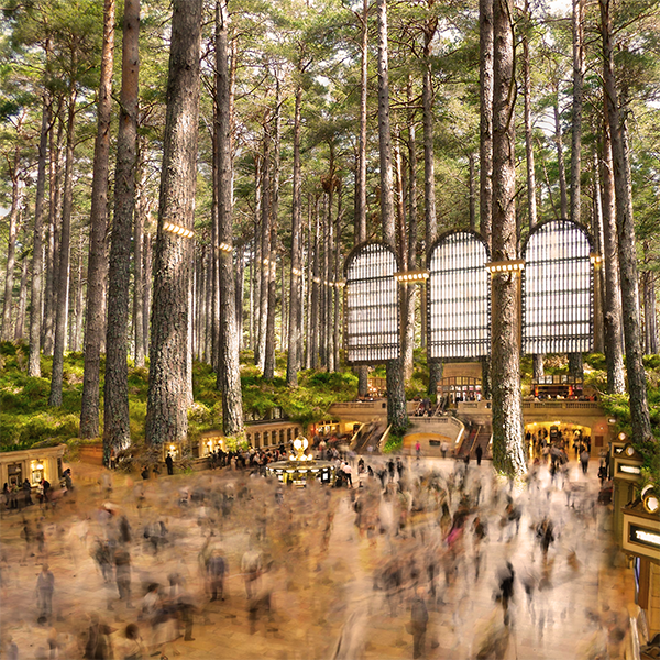 This is alt text for the image