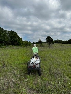 This is alt text for the image