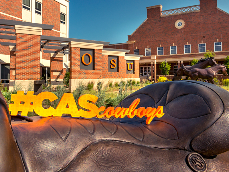 CAS Cowboys logo on a saddle