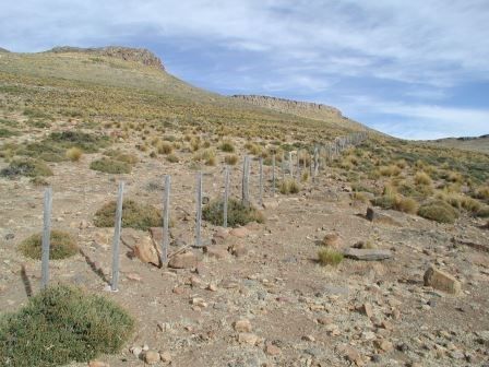 Hike to nearby lake in Parque Nacional Laguna Blanca