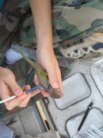 Lauren painting an adult