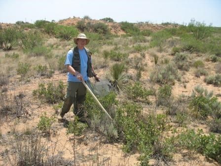Matt beating the bushes