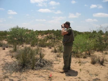 Matt conducting focal