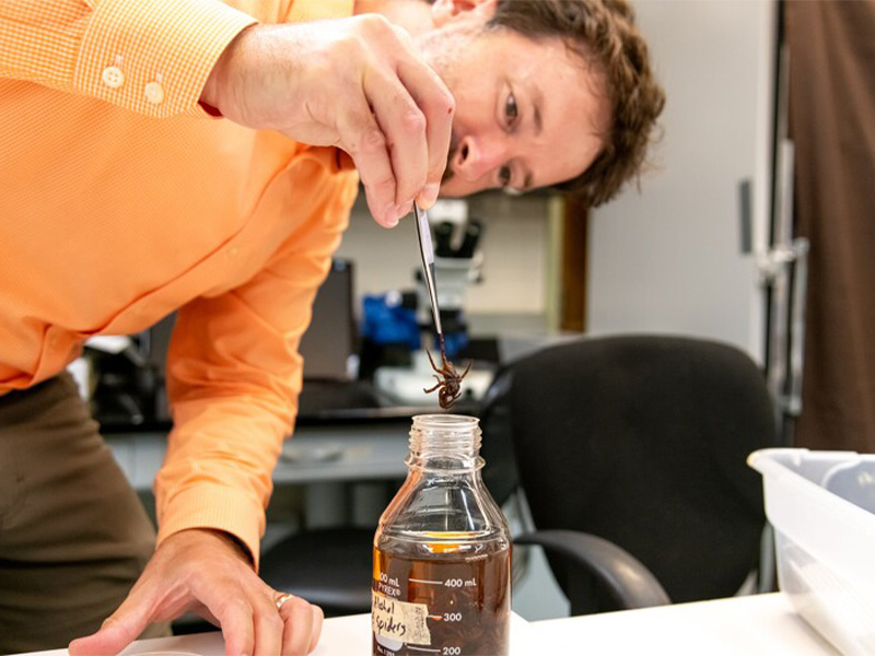 Teacher looking at an insect in a jar.