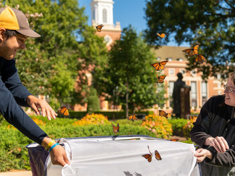 A young boy and girl releasing a butterfly into the air.
