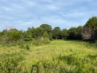 Example of one of the BugNet black at McPherson