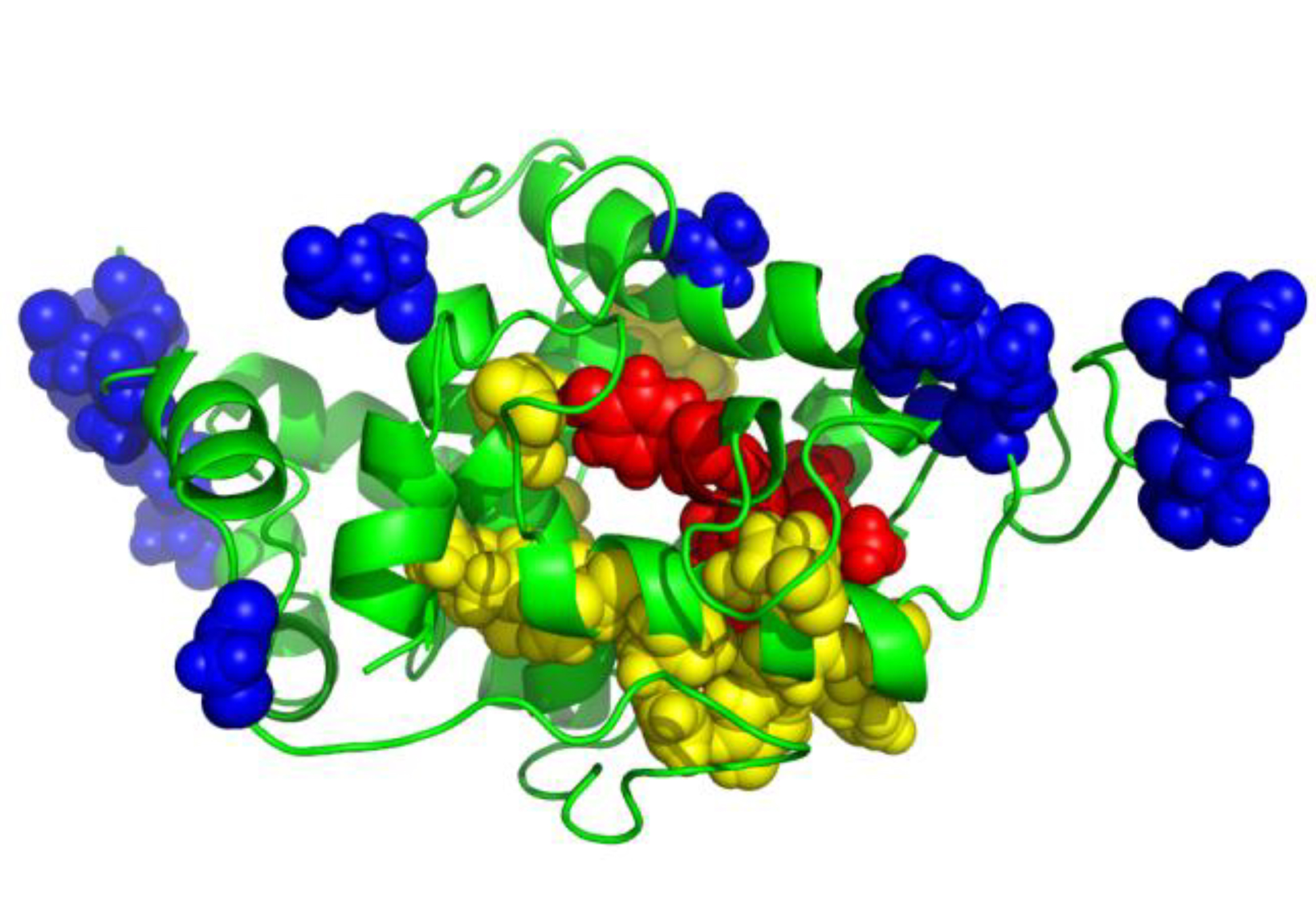 glysophication diagram