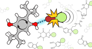 perflouroalkylation diagram