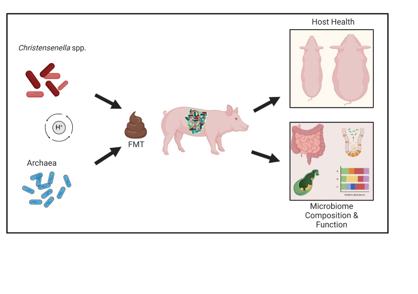 Dr. Niki Johnson Project Figure Dr. Niki Johnson Project Figure