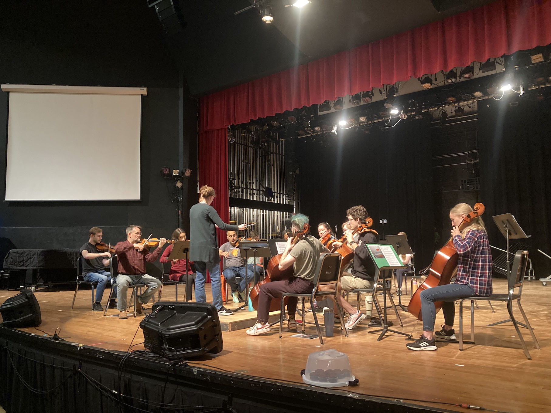 image of orchestra members