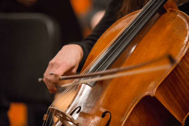 Cellist hands as they are bowing