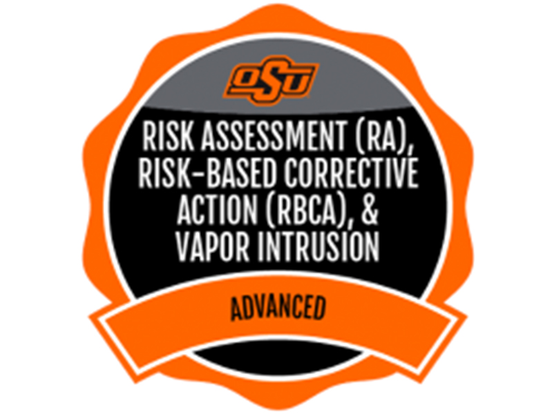 Risk Assessment micro-credential