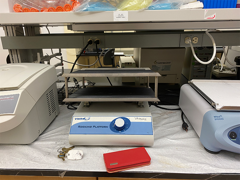 Rocking Platform Shaker