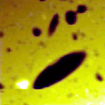 This 10 μm x 10 μm AFM scan of CR-39 PNTD shows an example of a heavy nuclear recoil track (image courtesy of Carl Johnson).