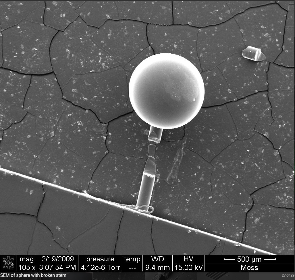 sem image