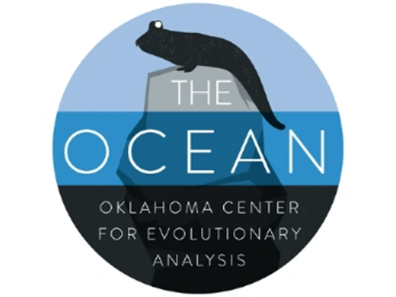 OCEAN Logo