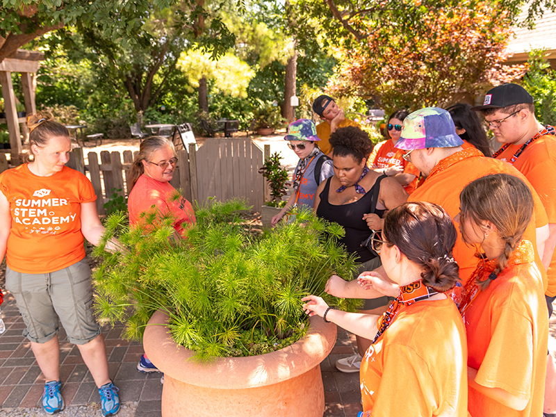 Summer STEM Academy students in the Botanic Gardens
