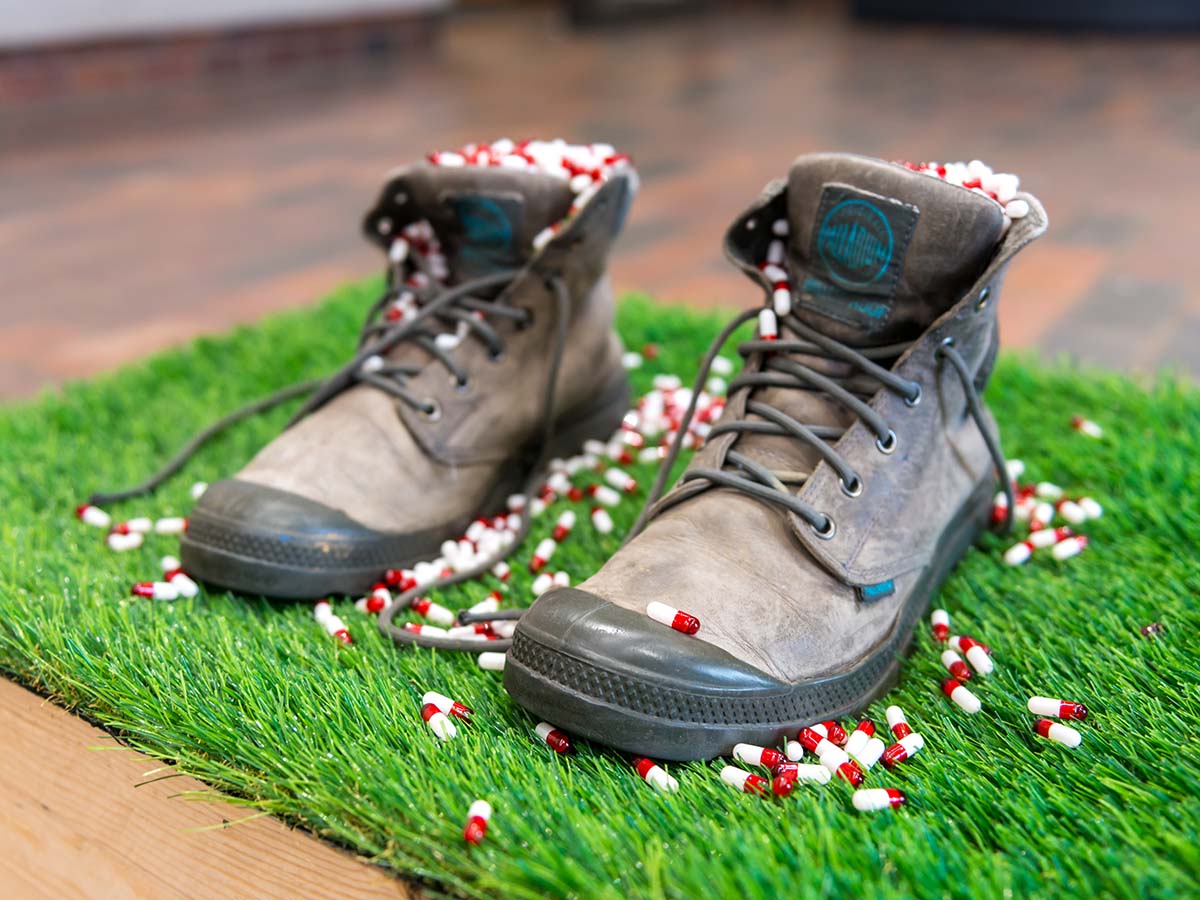 Brianna Harlan: Glass House Brianna Harlan: Glass House