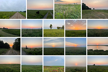 Geography, plant biology professors secure NASA funding for grasslands research using remote sensing