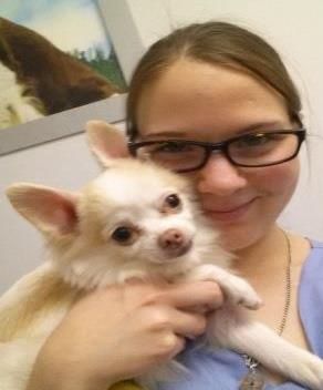 Jessica Harper (2017)