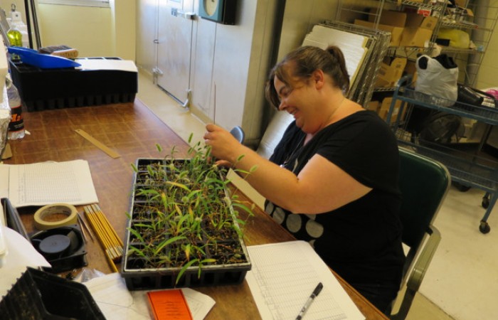 Amy Taking Measurements