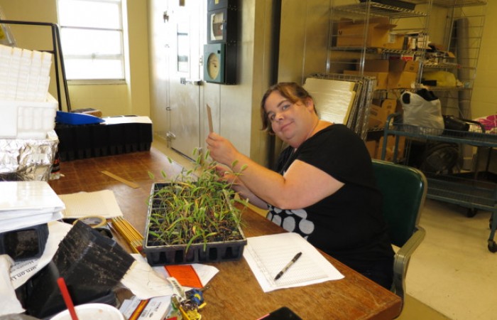 Amy Taking Measurements