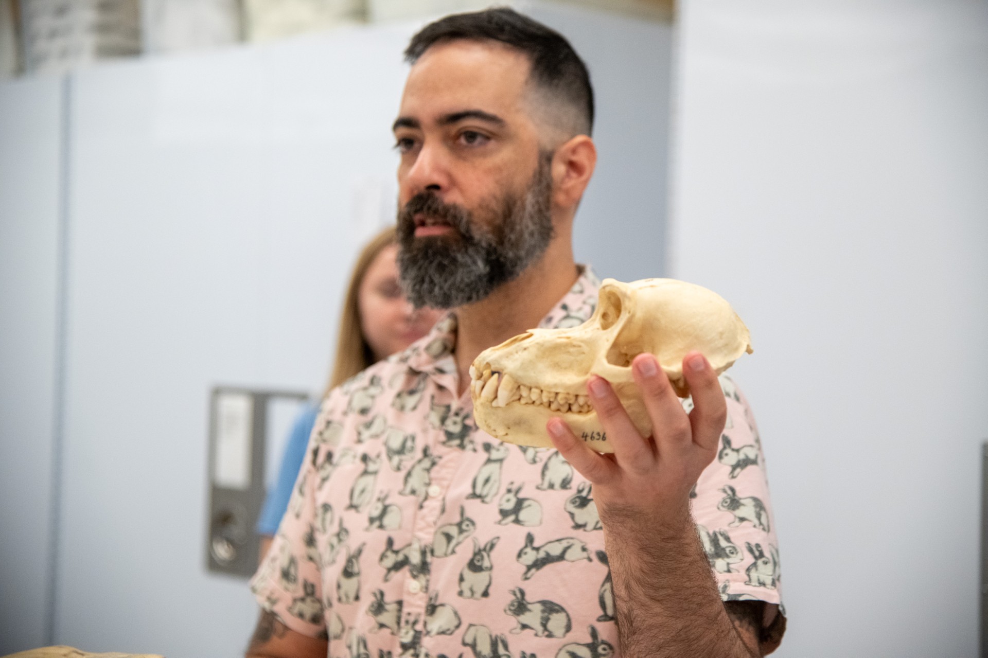 Curator Fabio Machado