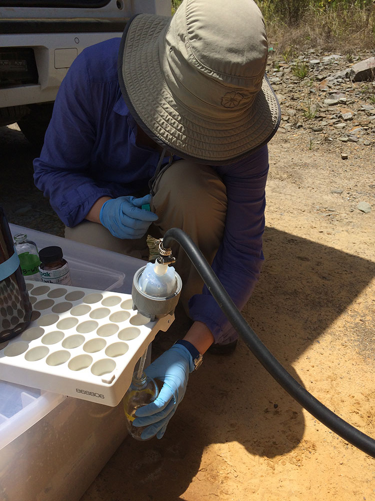 This is alt text for the image