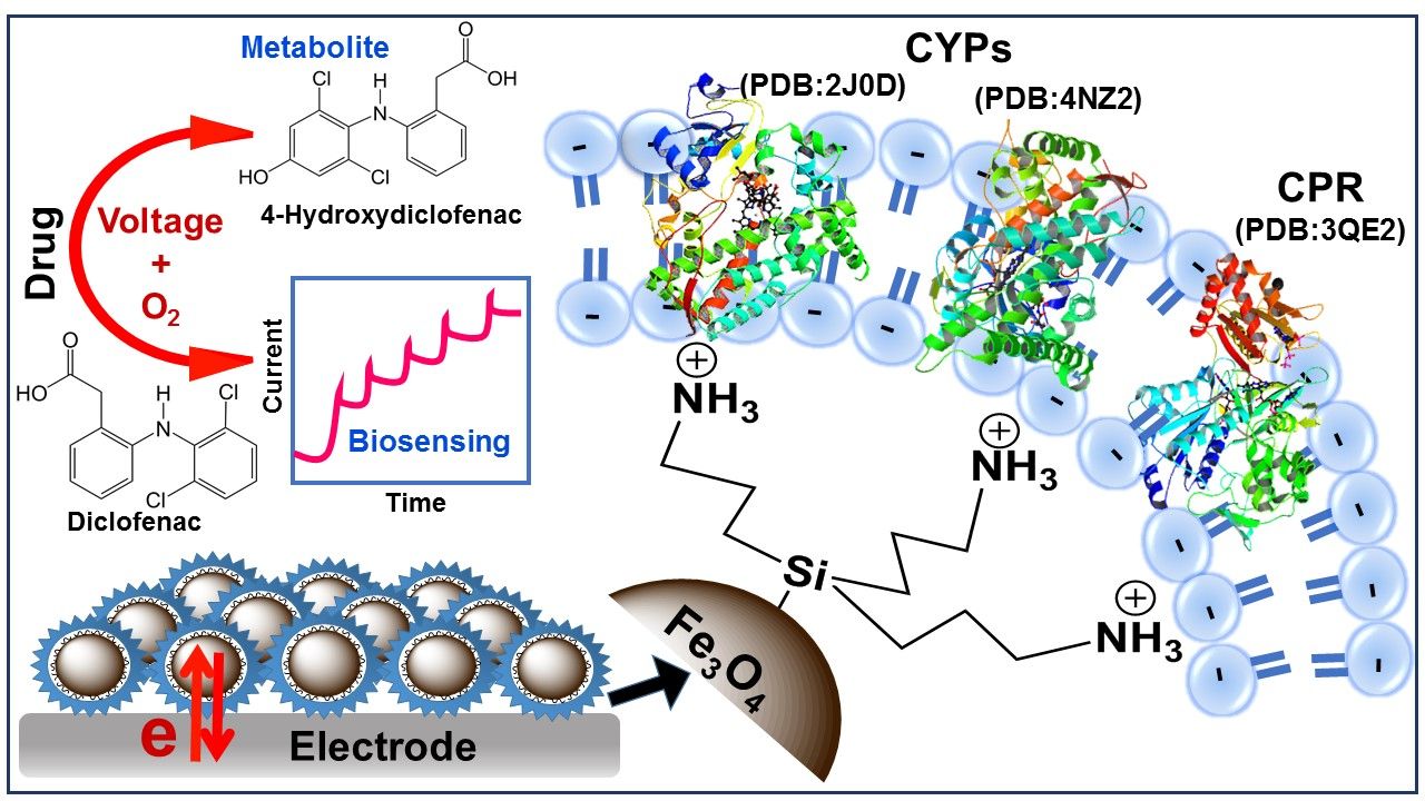 Graphical_Abstract_TOC_Image