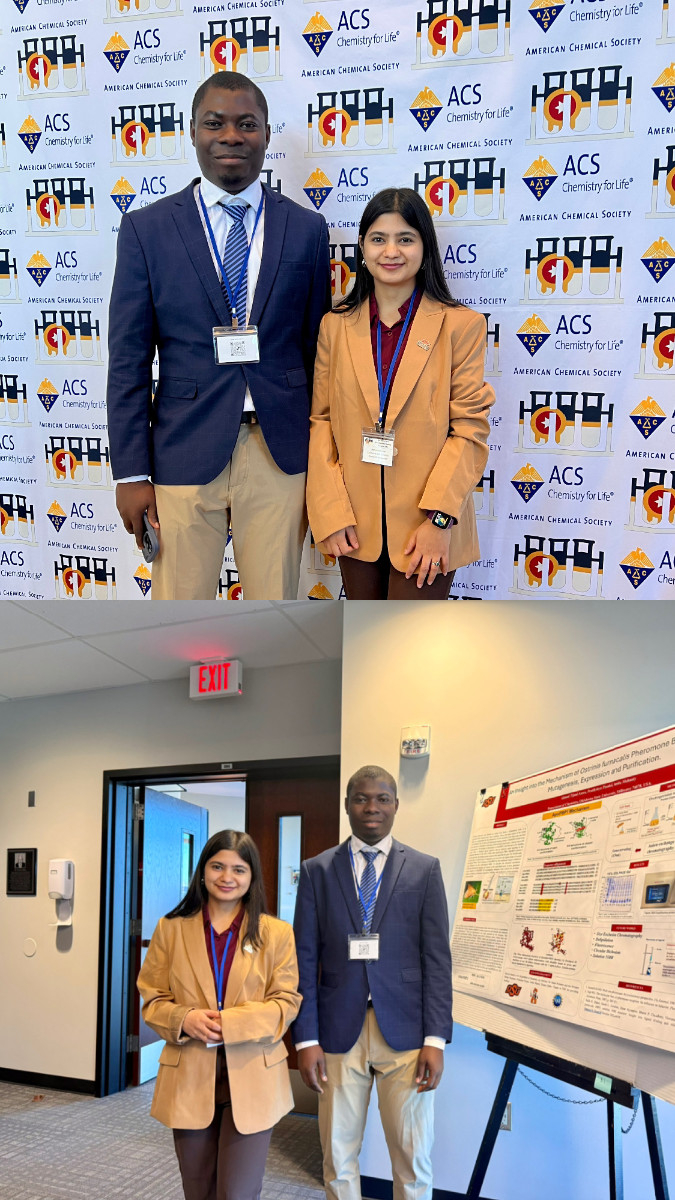 ACS Pentasectional 2025