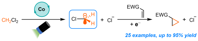 graphical abstract Updated Graphical Abstract