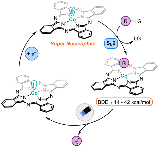 nucleophilic diagram