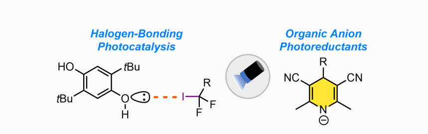 diagram of organic photoreductants