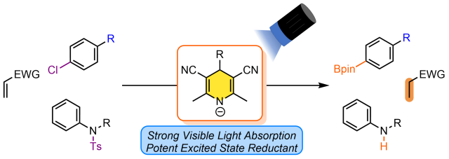 toc graphic TOC Graphic