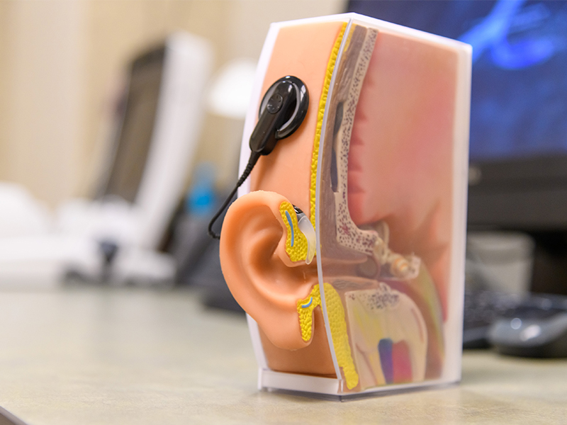 Audiology Ear Audiology Ear