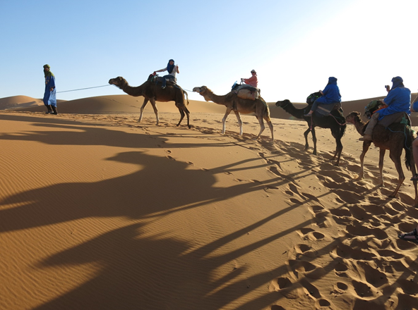 camel ride morocco