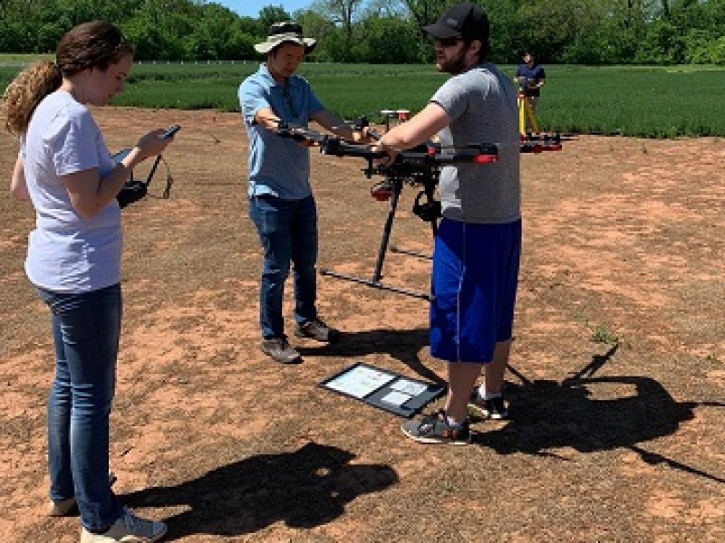 Agricultural terraces Canary Islands