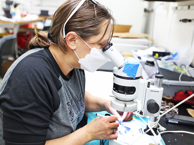 Dr Burkett looking through a microscope