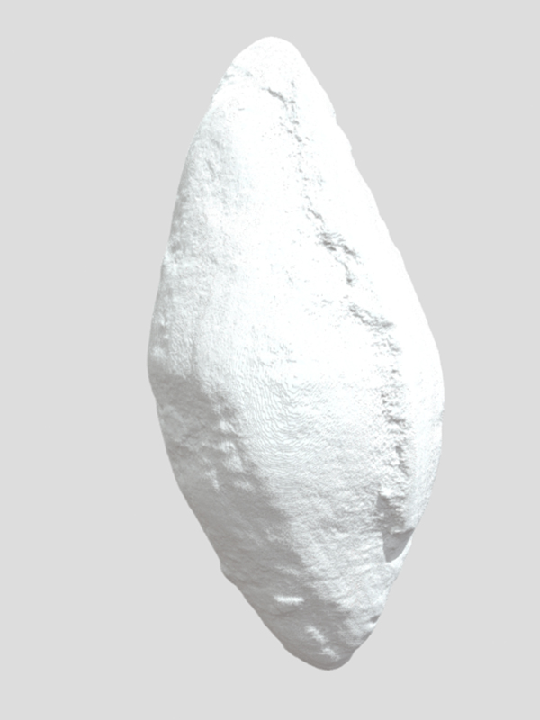 Fusulinid Foraminifera Model