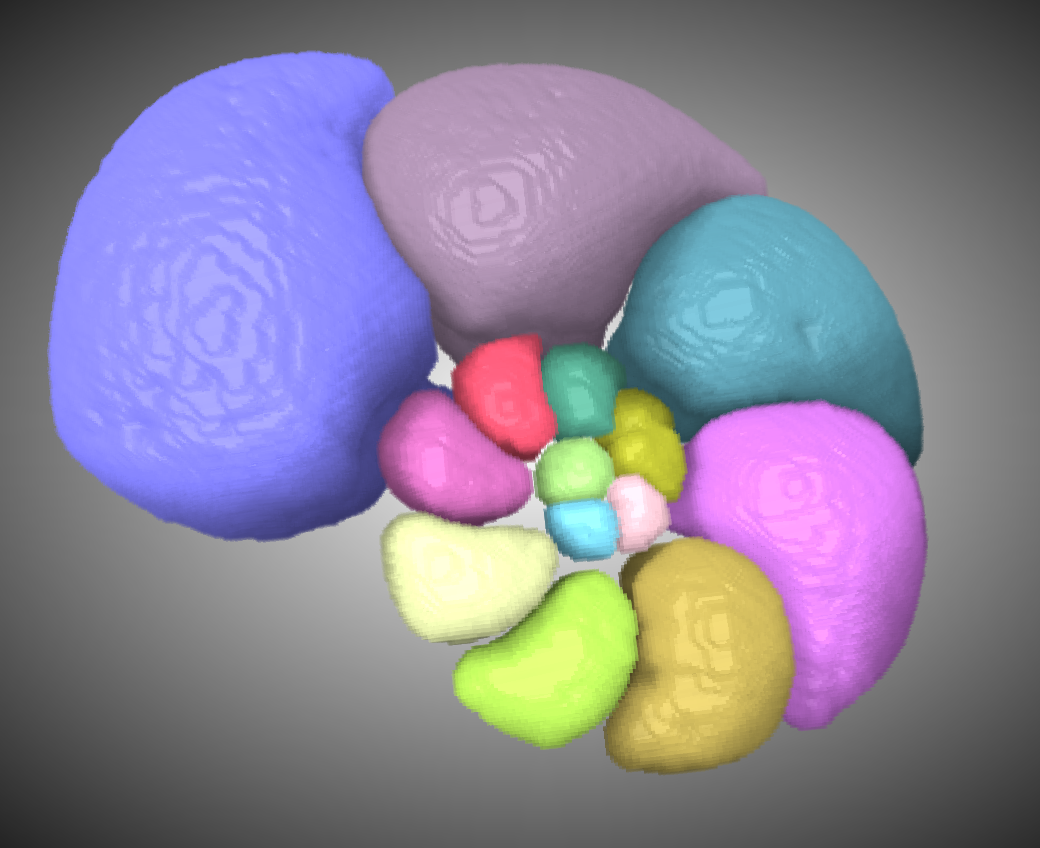 Chambers of a C. wuellerstorfi var. lobotulus - This image was generated by Trenity and included in Jassica's poster