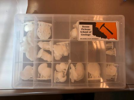 A plastic case wiht 3D models for students to use when studying.
