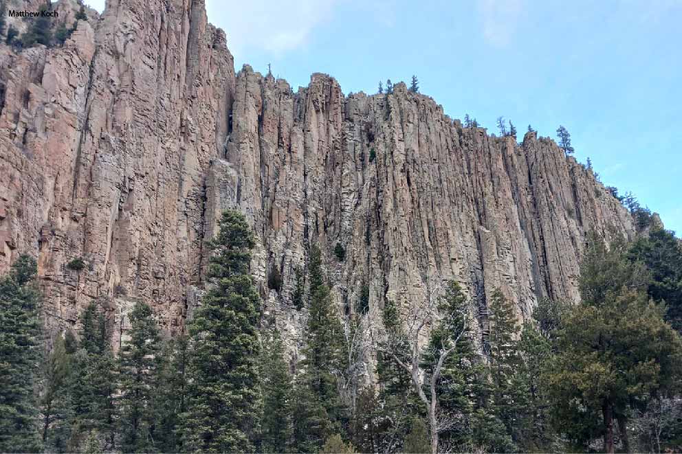 Stream view looking up a cliff side in Red River Colorado. Stream view looking up a cliff side in Red River Colorado.
