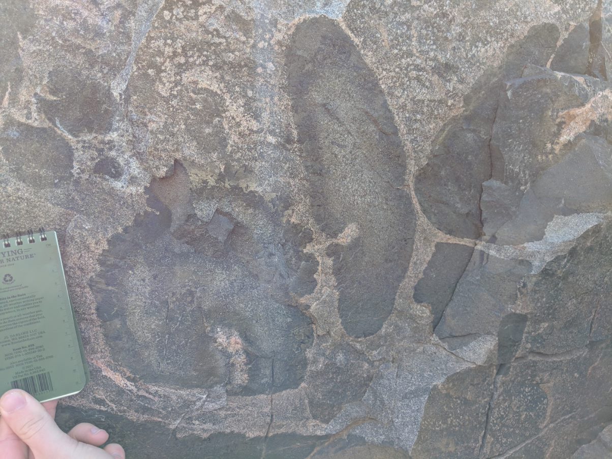 fossil in rock formation fossil in rock formation