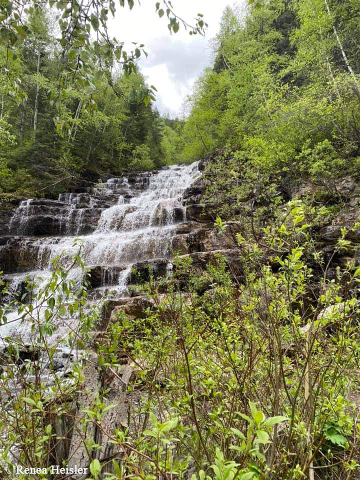 Waterfall in a forested area. Waterfall in a forested area.