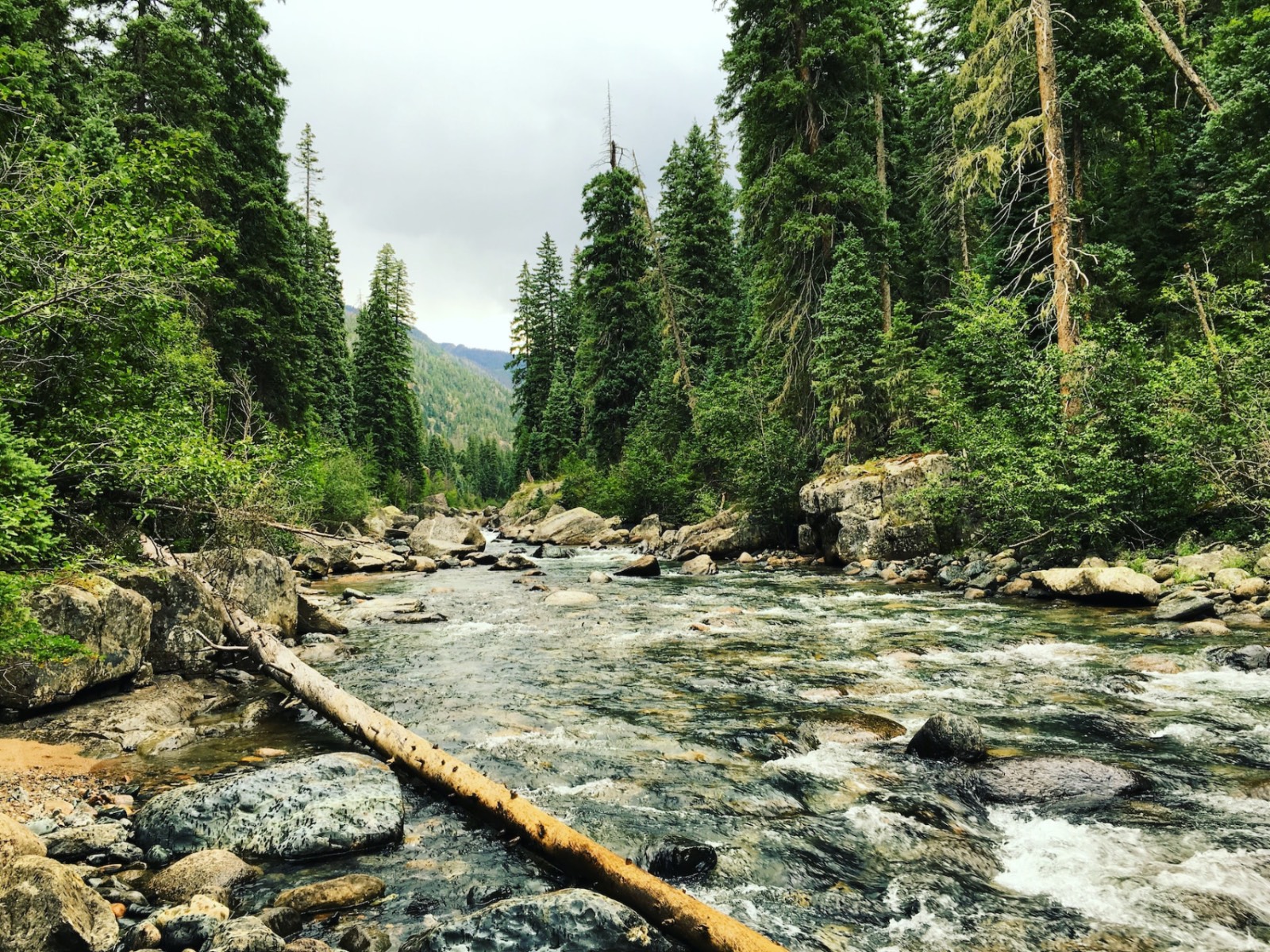 River flowing rapidly on a rocky shoreline in a forested valley.