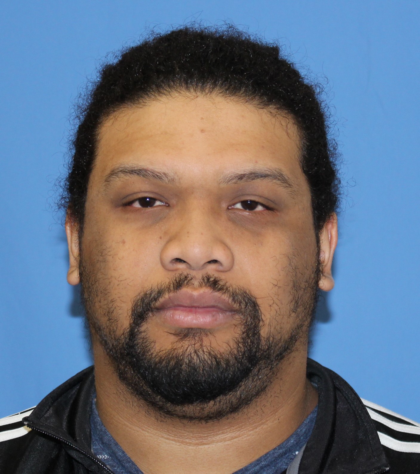 A man with dark brown hair and a beard stands against a blue background.