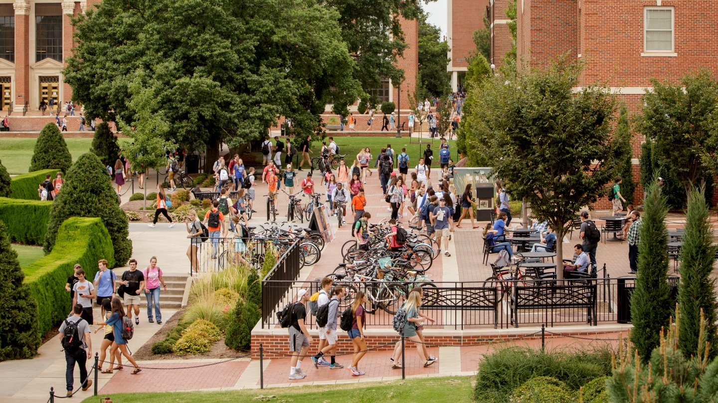 This is alt text for the image