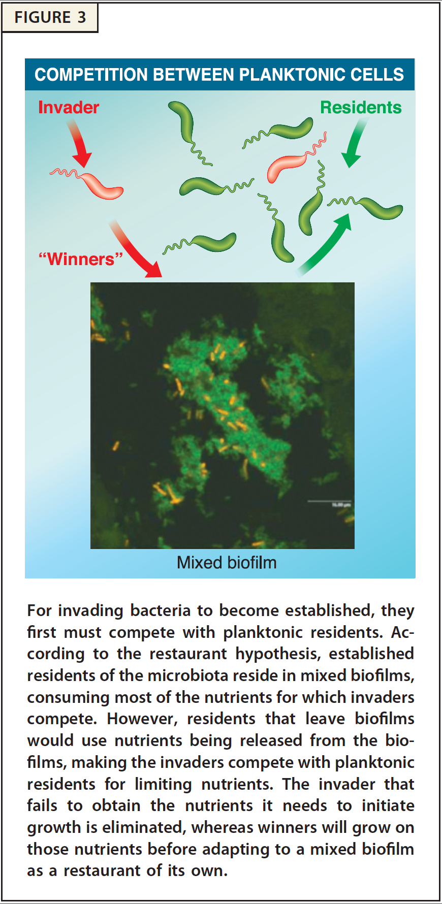 restaurant.png Restaurant Hypothesis