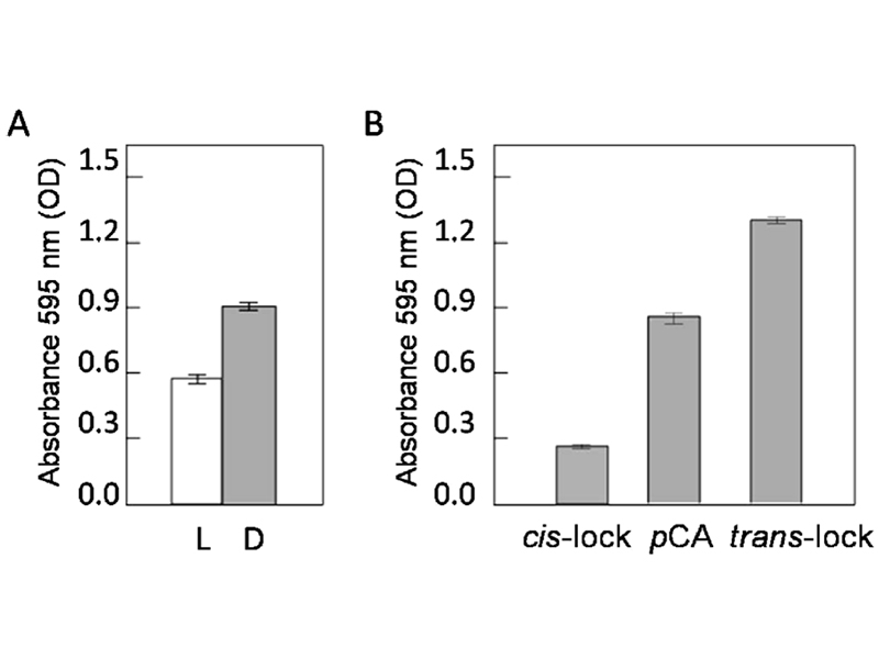 Bacterial Photobiology